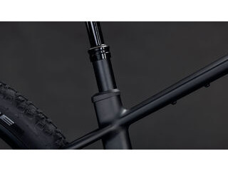 CUBE Reaction Hybrid Pro 800 click to zoom image