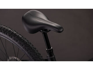 CUBE Reaction Hybrid Pro 800 click to zoom image