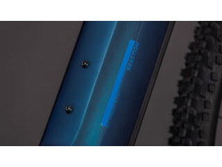 CUBE Reaction Hybrid Pro 800 click to zoom image