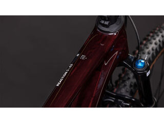 CUBE Reaction C:62 Race click to zoom image