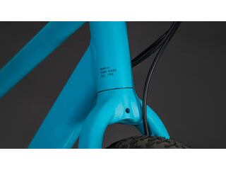 CUBE Numove 200 Disc click to zoom image