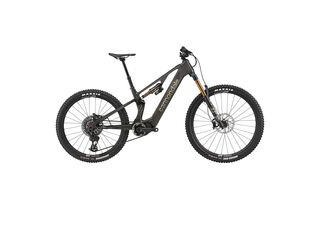CANNONDALE Moterra SL 1 Raw 2025