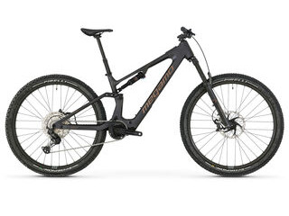 MEGAMO Reason AIR AL 15 DJI avinox motor  click to zoom image